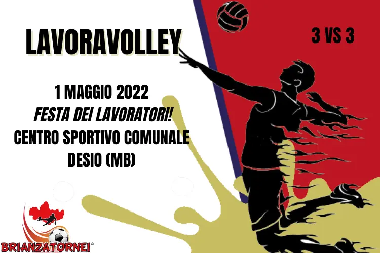 Scopri di più sull'articolo Torneo beachvolley : Lavoravolley